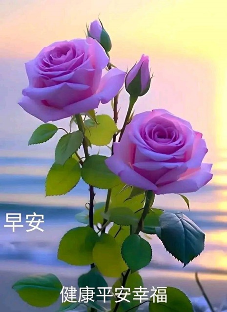 按我可連結至更清楚的圖片
